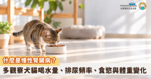 「最近我家貓咪怎麼一直喝水？是不是天氣太熱？」、「年紀大了，尿比較多應該很正常吧？」小心！可能是牠們的腎臟正在發出警訊！