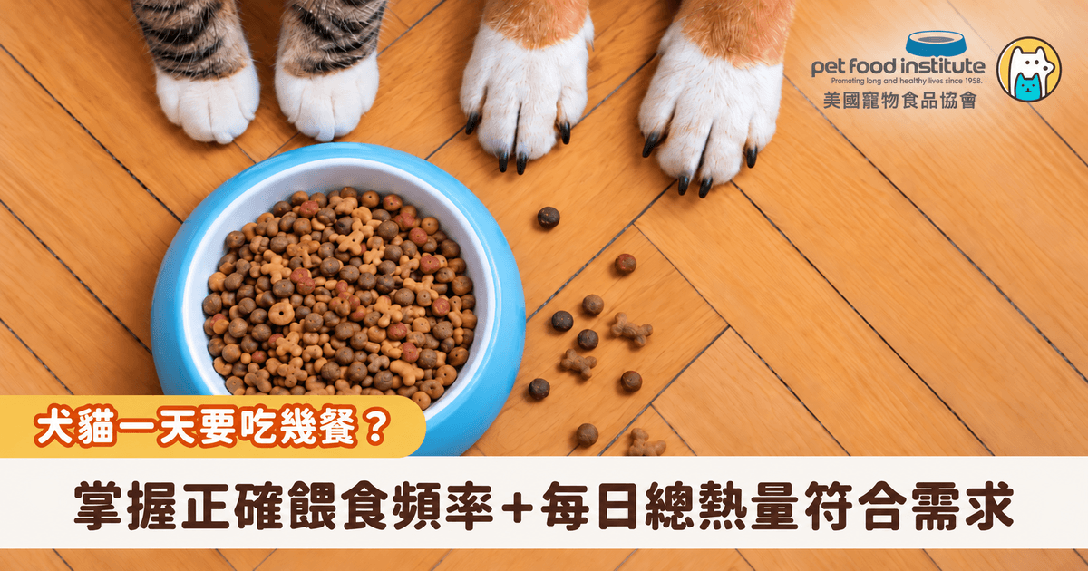 「犬貓一天到底需要吃幾餐？」有些飼主習慣早晚各餵一次，有些飼主則擔心寵物餓肚子，會在碗裡隨時補滿食物。其實，犬貓的餵食頻率並沒有一套適用所有寵物的答案，年齡、體型、活動量與健康狀況，都會影響牠們一天需要吃幾餐、吃多少。比起單純追求「多餐」或「少餐」，更重要的是根據寵物每日熱量需求控制份量，並安排最合適的餵食節奏。