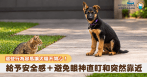 身為飼主總希望能給寵物最完善的照顧，但有時我們出於善意的舉動，在牠們眼裡卻可能造成壓力，今天就讓我們一起來看看，哪些日常互動比較容易引起貓咪和狗狗情緒方面的不適，理解牠們的心思！&nbsp;