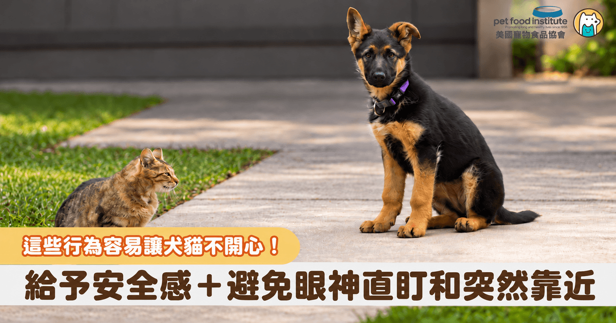 身為飼主總希望能給寵物最完善的照顧，但有時我們出於善意的舉動，在牠們眼裡卻可能造成壓力，今天就讓我們一起來看看，哪些日常互動比較容易引起貓咪和狗狗情緒方面的不適，理解牠們的心思！&nbsp;
